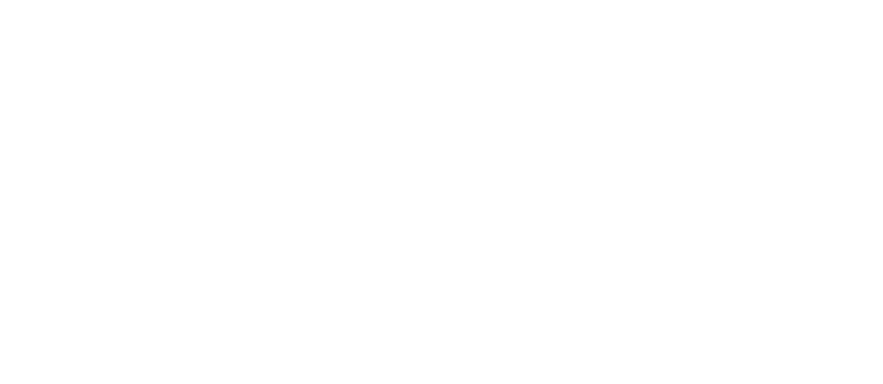 Texas Center for Arts Academics